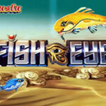 Fish Eye Pragmatic
