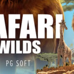 Games Safari Wilds