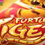 FORTUNE TIGER